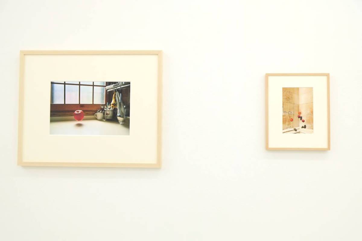 アン・ジュン 展覧会「One Life」｜UnoFOTO 京都写真美術館