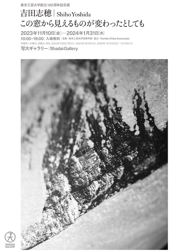 吉田志穂展「この窓から見えるものが変わったとしても」｜unofoto 京都写真美術館