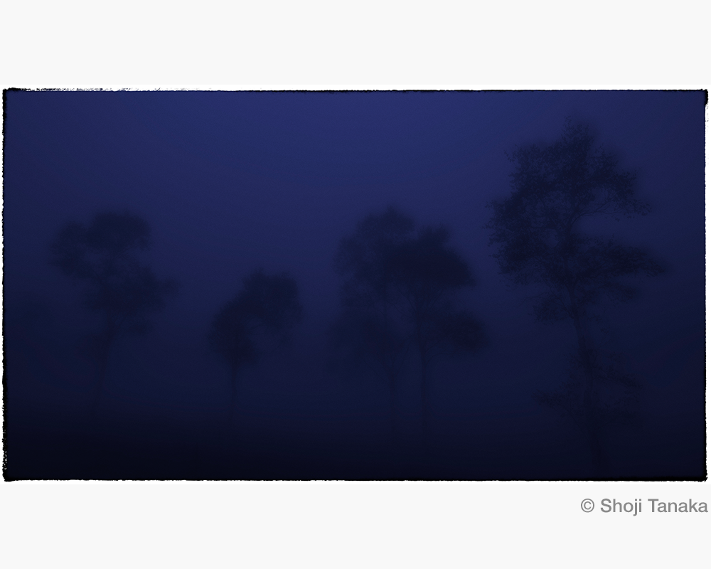 田中昭二 作品展「INTO THE BLUE」｜UnoFOTO 京都写真美術館